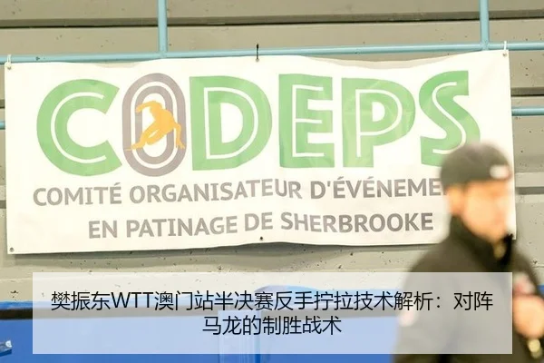 樊振东WTT澳门站半决赛反手拧拉技术解析：对阵马龙的制胜战术